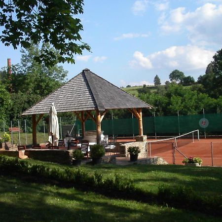 Chateau Radvanov Pension Mlada Vozice Bagian luar foto