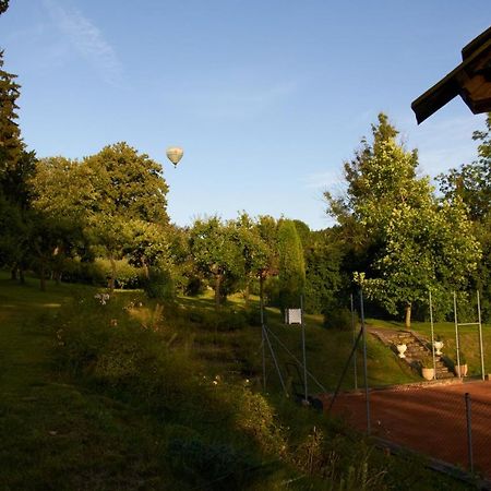 Chateau Radvanov Pension Mlada Vozice Bagian luar foto